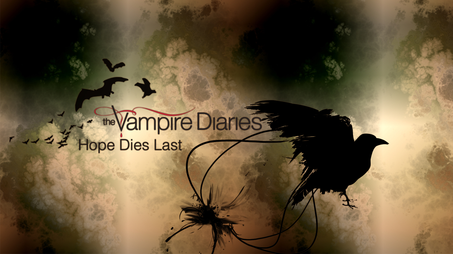 The Vampire Diaries Image Wallpaper Series HD