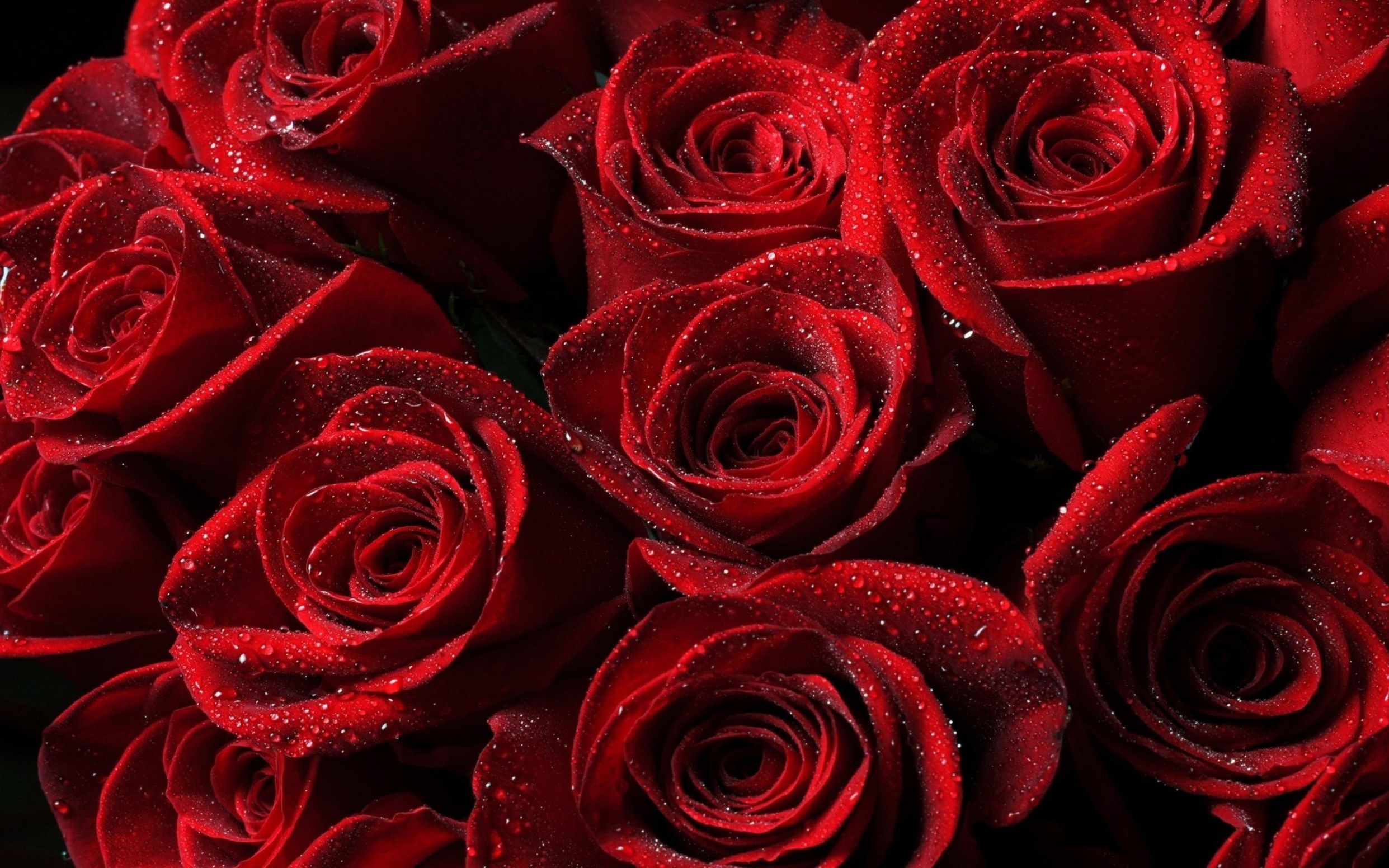 Red Flower Aesthetic Wallpaper On