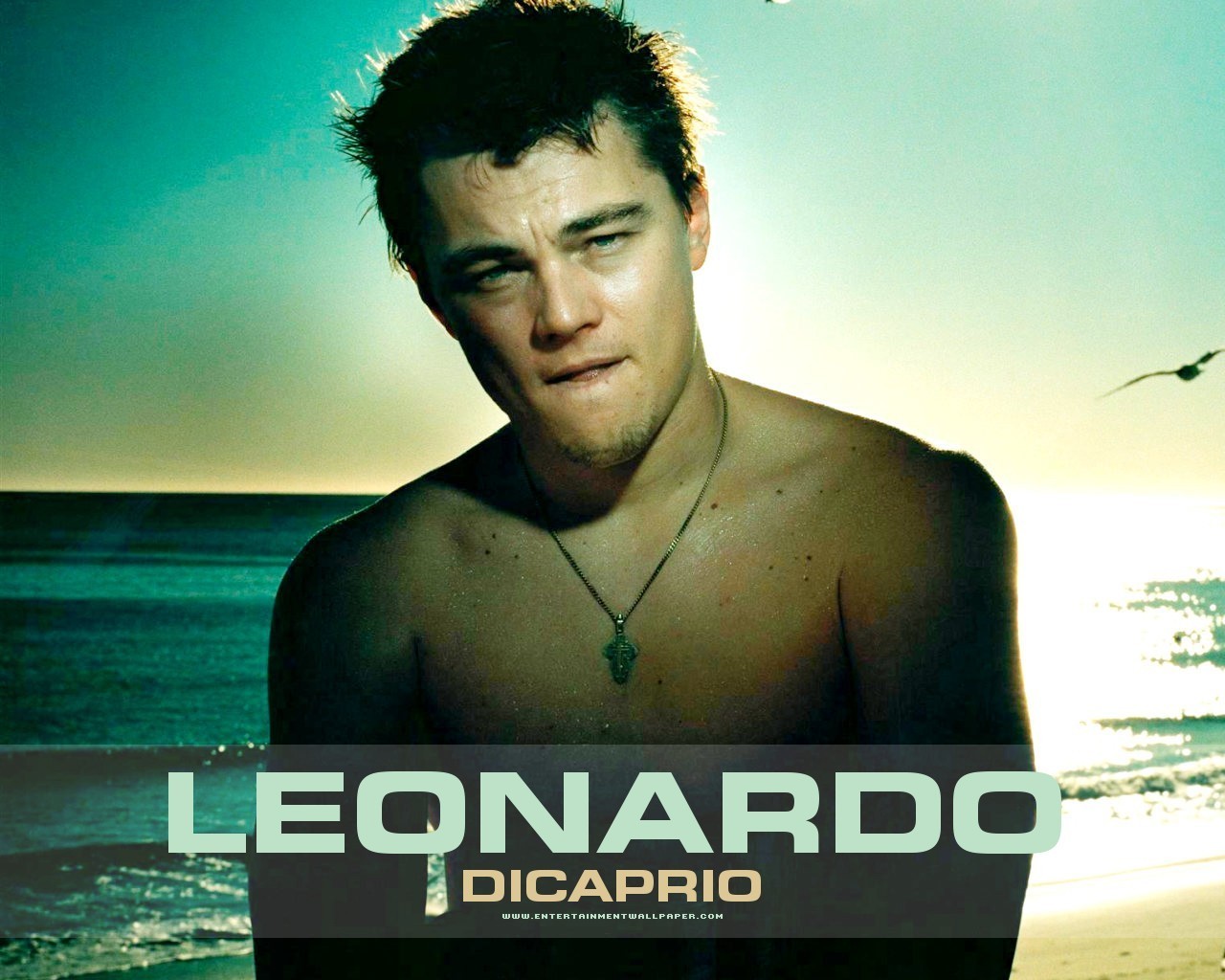 Leonardo Dicaprio Wallpaper