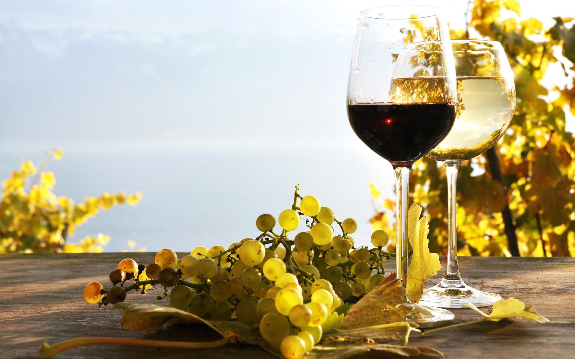Wine Wallpaper Image Photos Picture