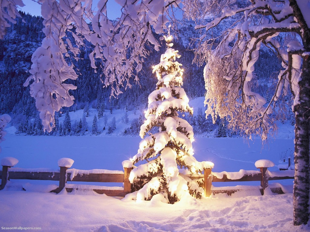 Back To Wallpaper Illuminated Christmas Tree Near A Frozen River
