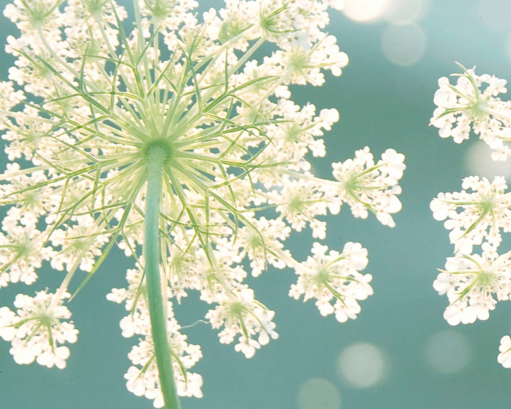 Free download wallpaper borders for bedrooms Wallpapers [1024x819] for