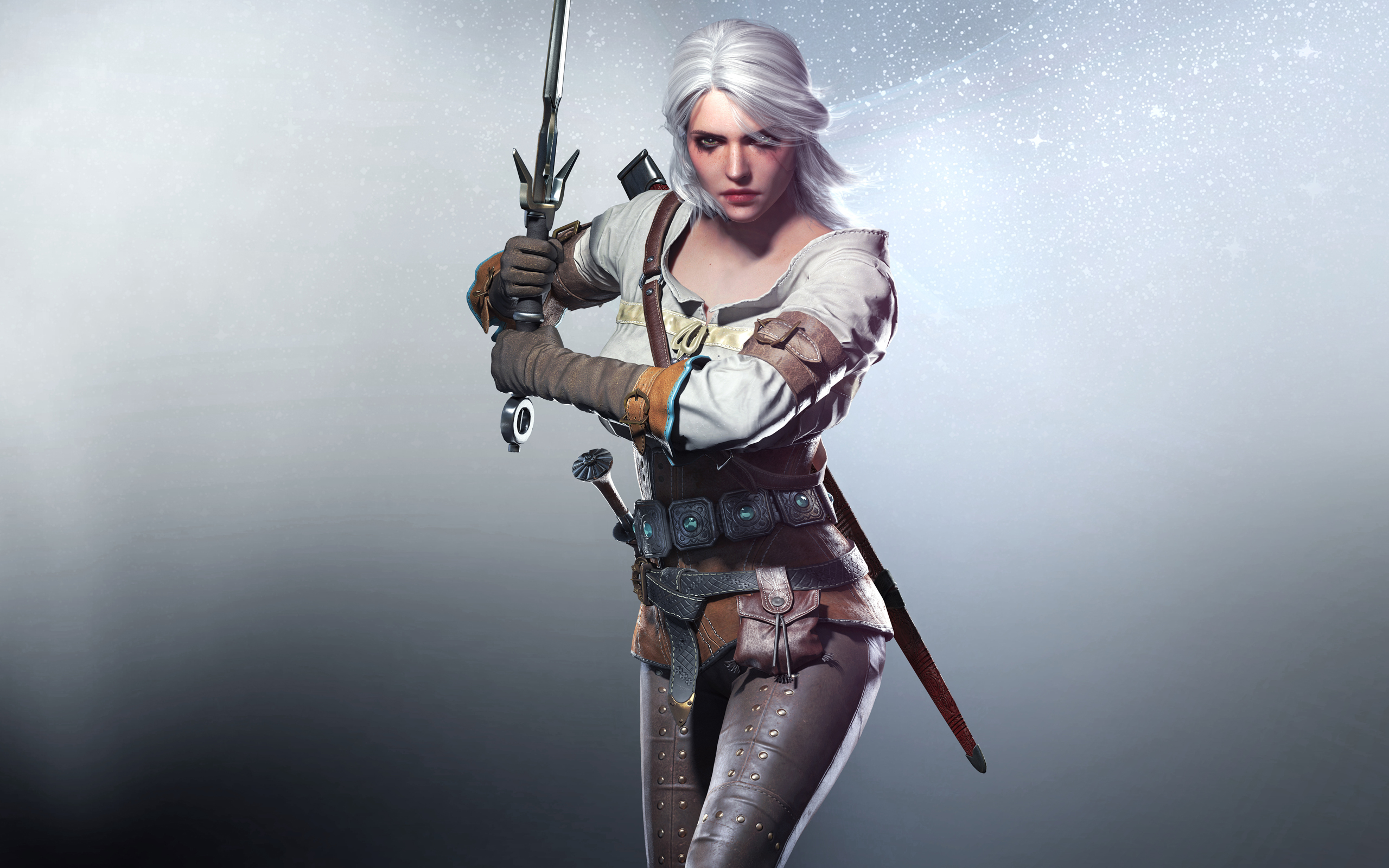 Ciri in The Witcher 3 Wild Hunt Wallpapers HD Wallpapers 2560x1600