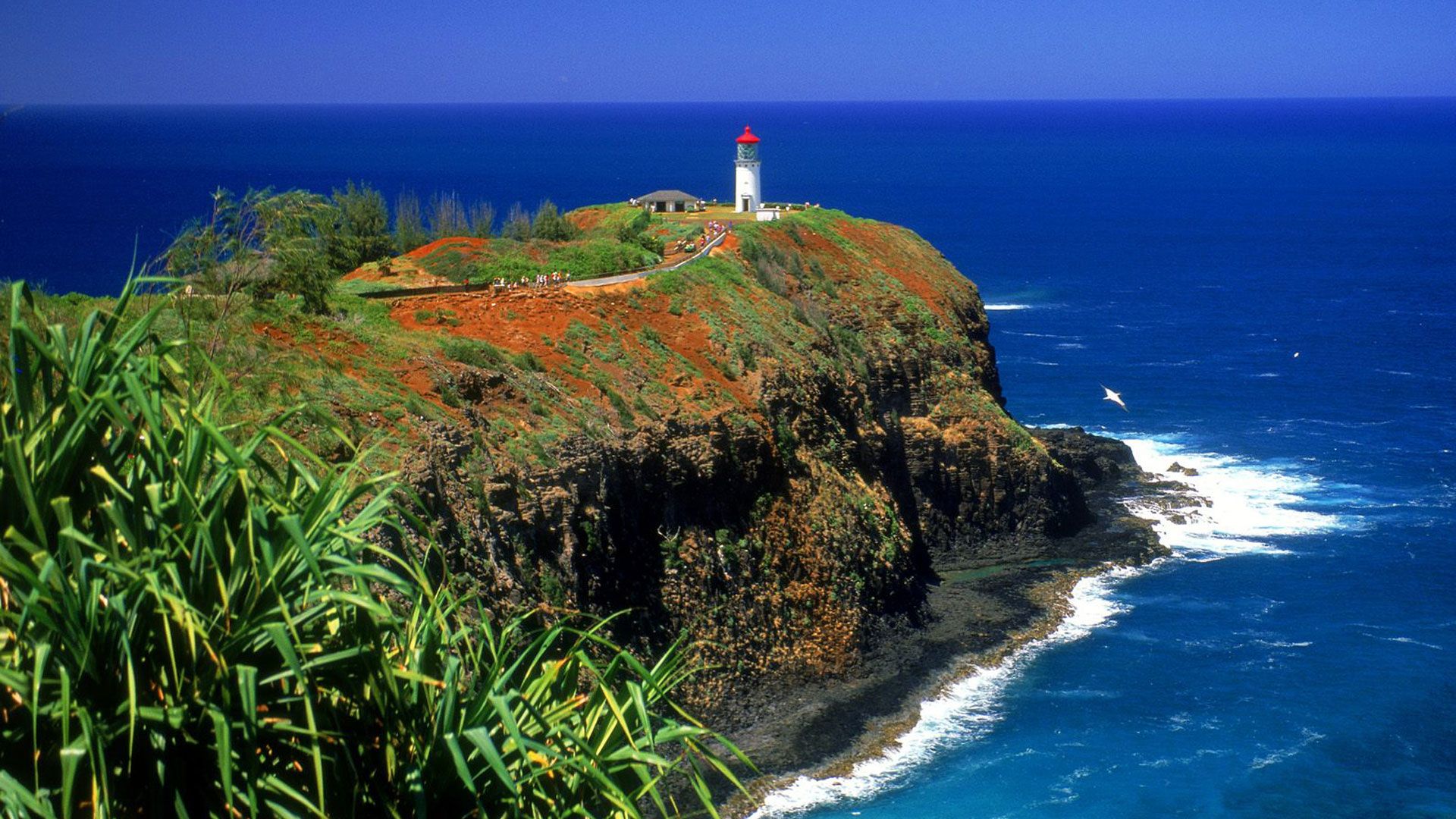 Kauai Wallpaper HD Hawaii Tourism Kilauea Lighthouse