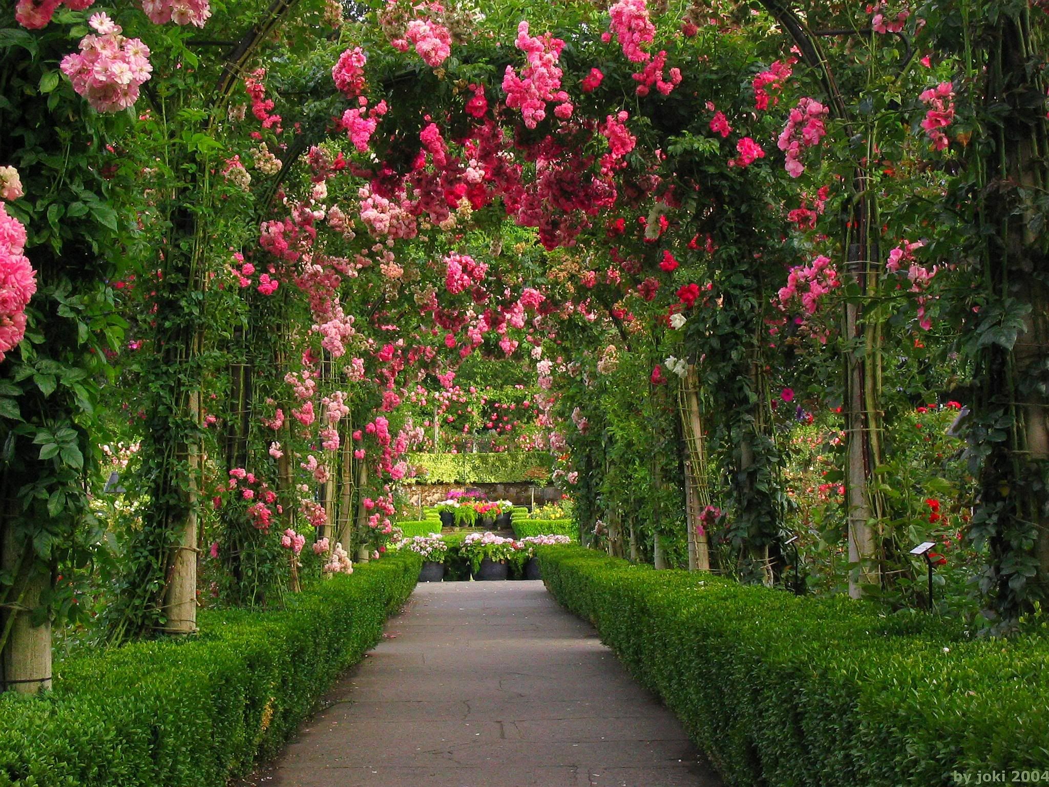 Celebrate Each New Day | Beautiful landscape wallpaper, Beautiful flowers  garden, Flower garden