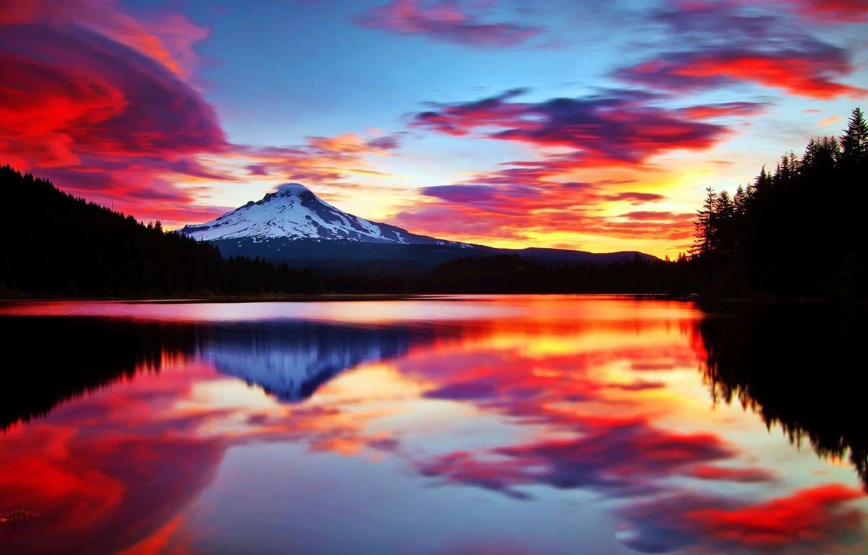 A Screen Full Of Very Cool Hd Wallpaper