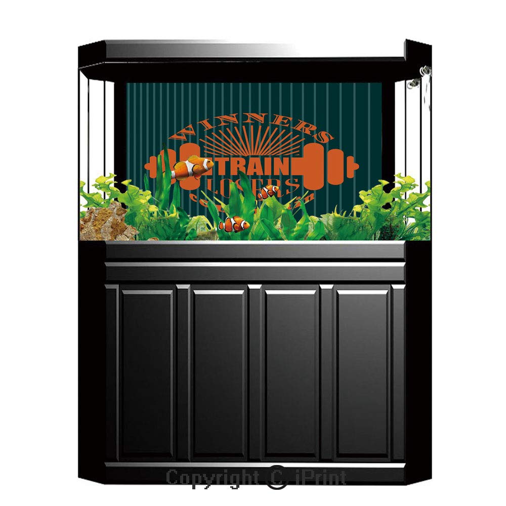 Amazon Terrarium Fish Tank Background Fitness Winners Train