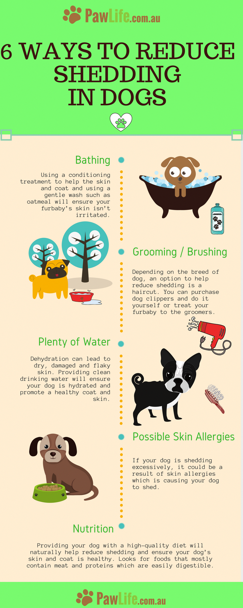 Truthful Dogs Wallpaper Dogismyfamily Militarydogtraining Dog