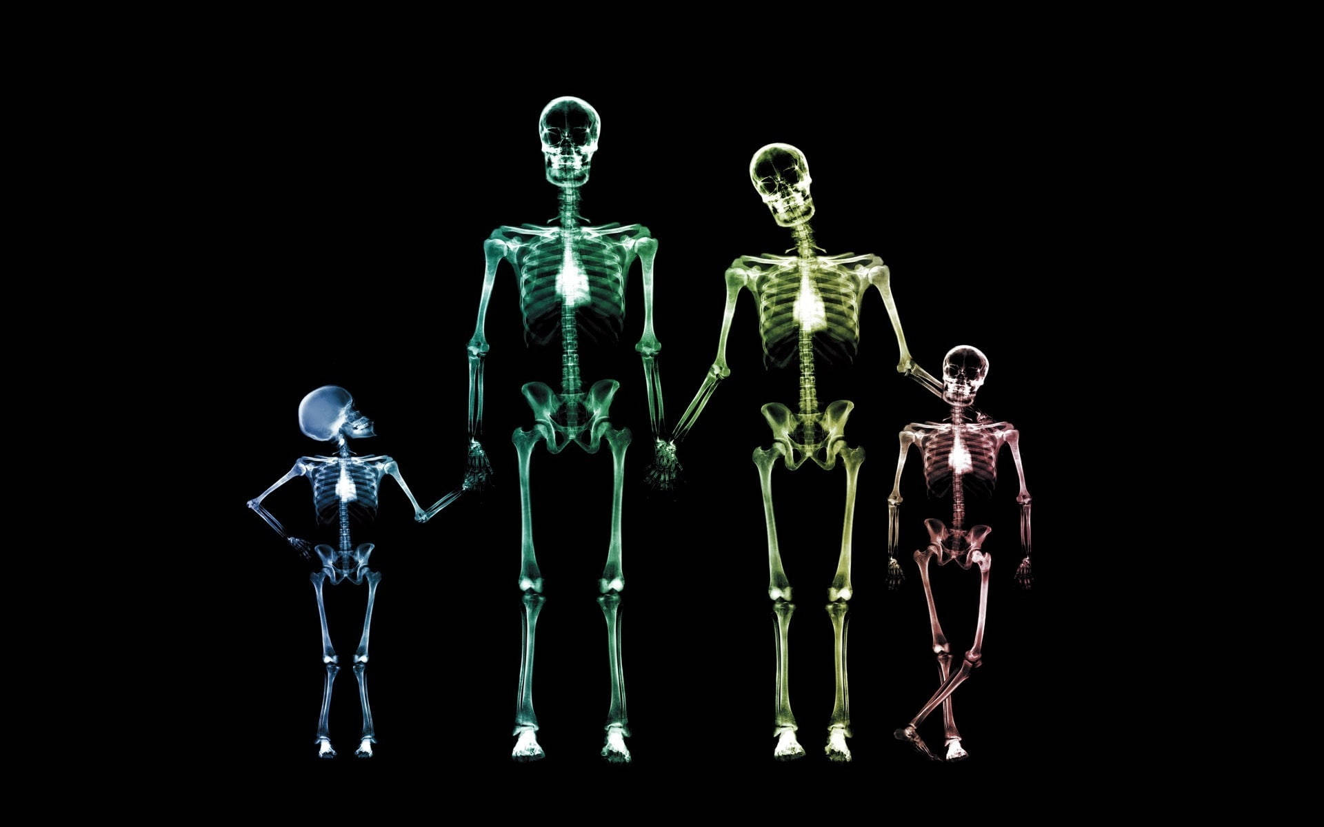 Skeleton Desktop Wallpaper