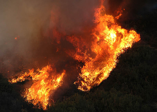 Didata Saves Fire Commission From Floods Wallpaper