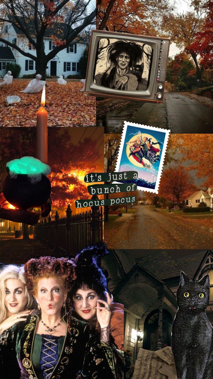 Check Out Ella77d S Shuffles Hocus Pocus Collage Wallpaper