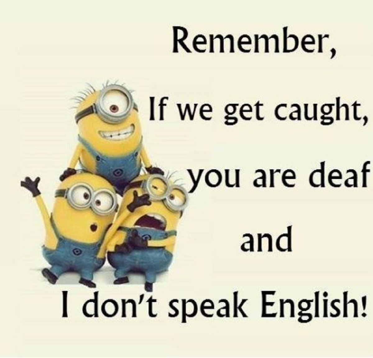 Minion Quotes Source Thefunnybeaver Funny