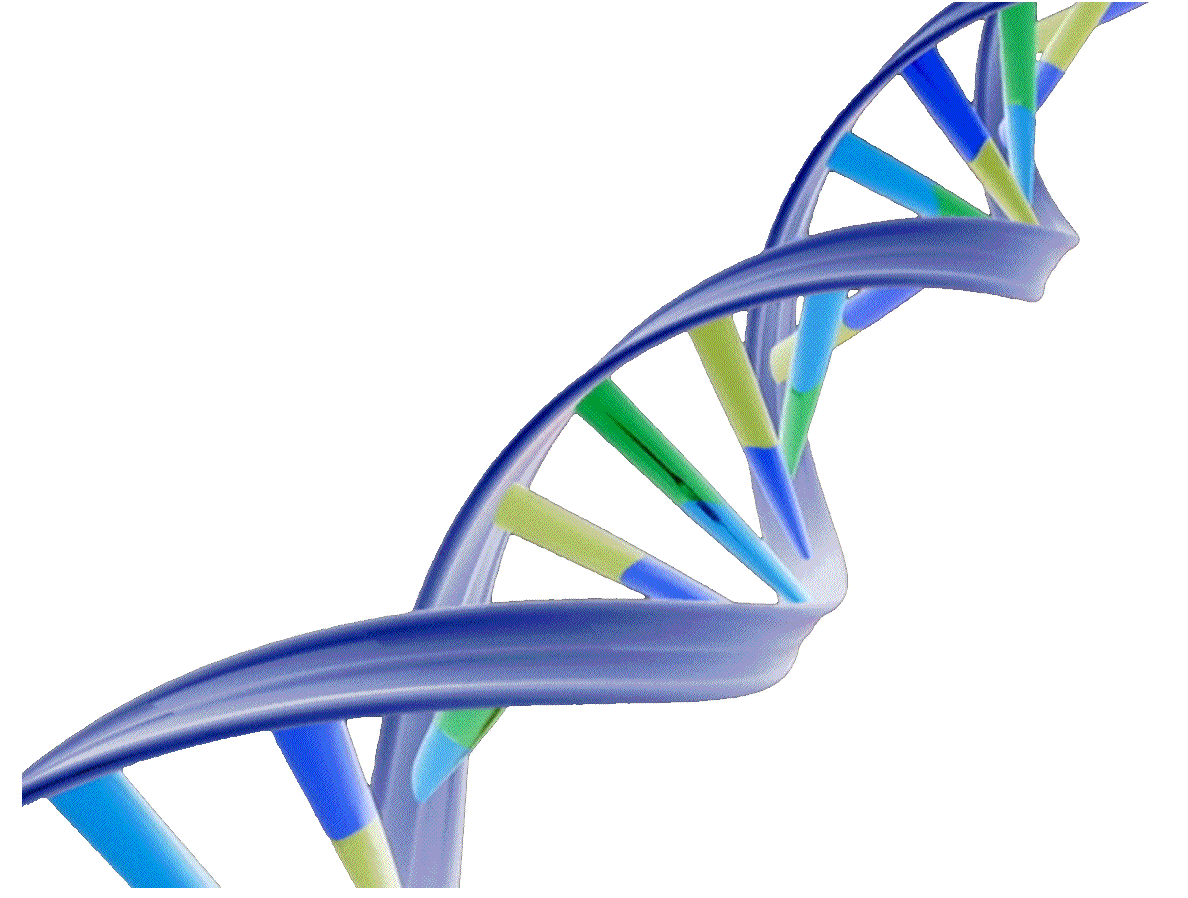 DNA is like a computer program but far far more advanced than any 1188x898