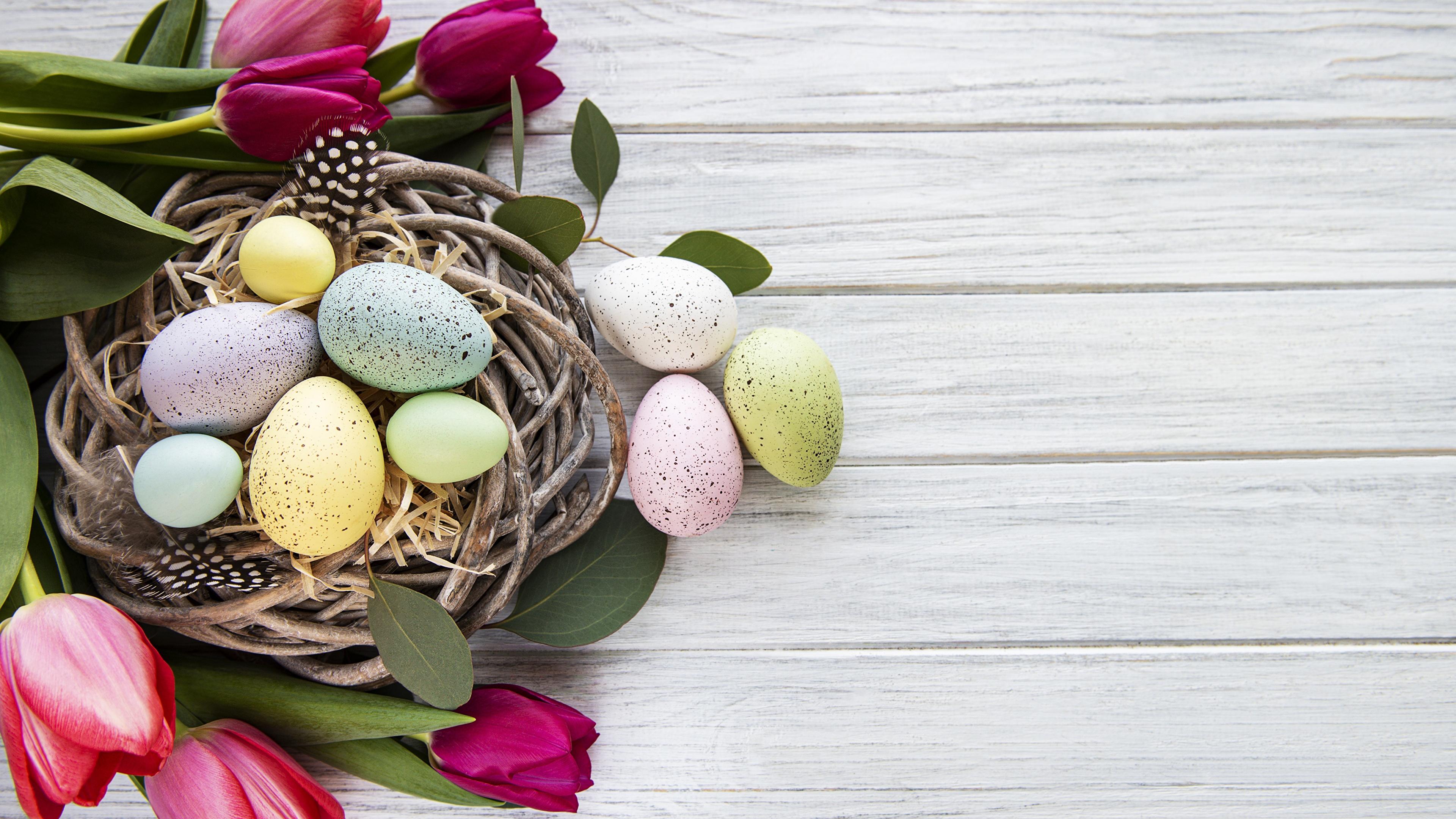 Desktop Wallpaper Easter Eggs Tulips Flowers Template