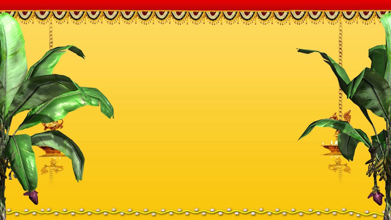Indian Wedding Background Video Cool Intro Bg