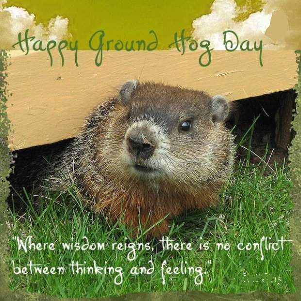 Groundhog Day Images Wallpapers Pics Greeting cards 6