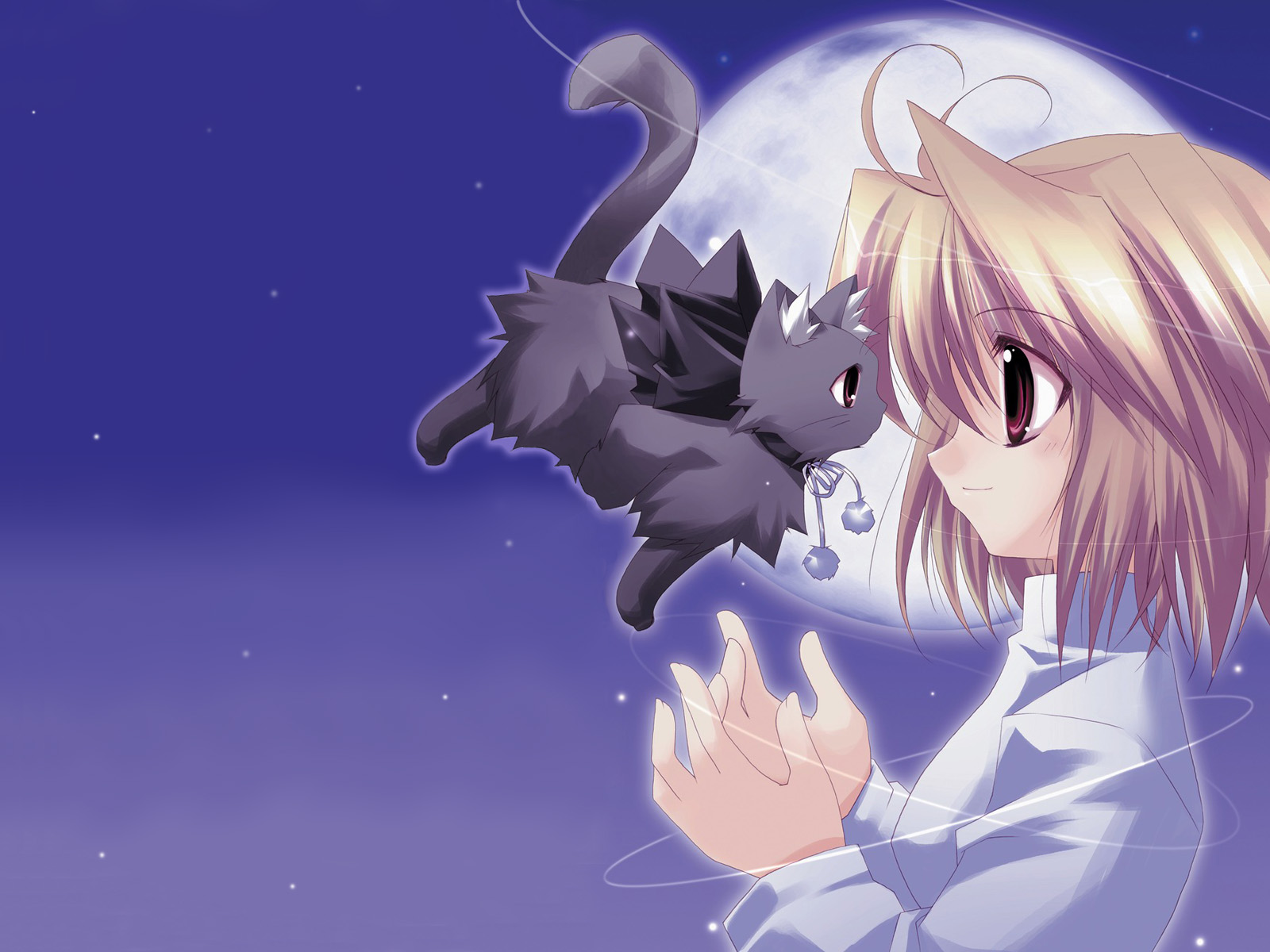 A cute anime girl with blonde hair and red eyes reaches out to a small, fluffy, dark gray cat with purple tassels hanging from its collar against a backdrop of a full moon and starry night sky