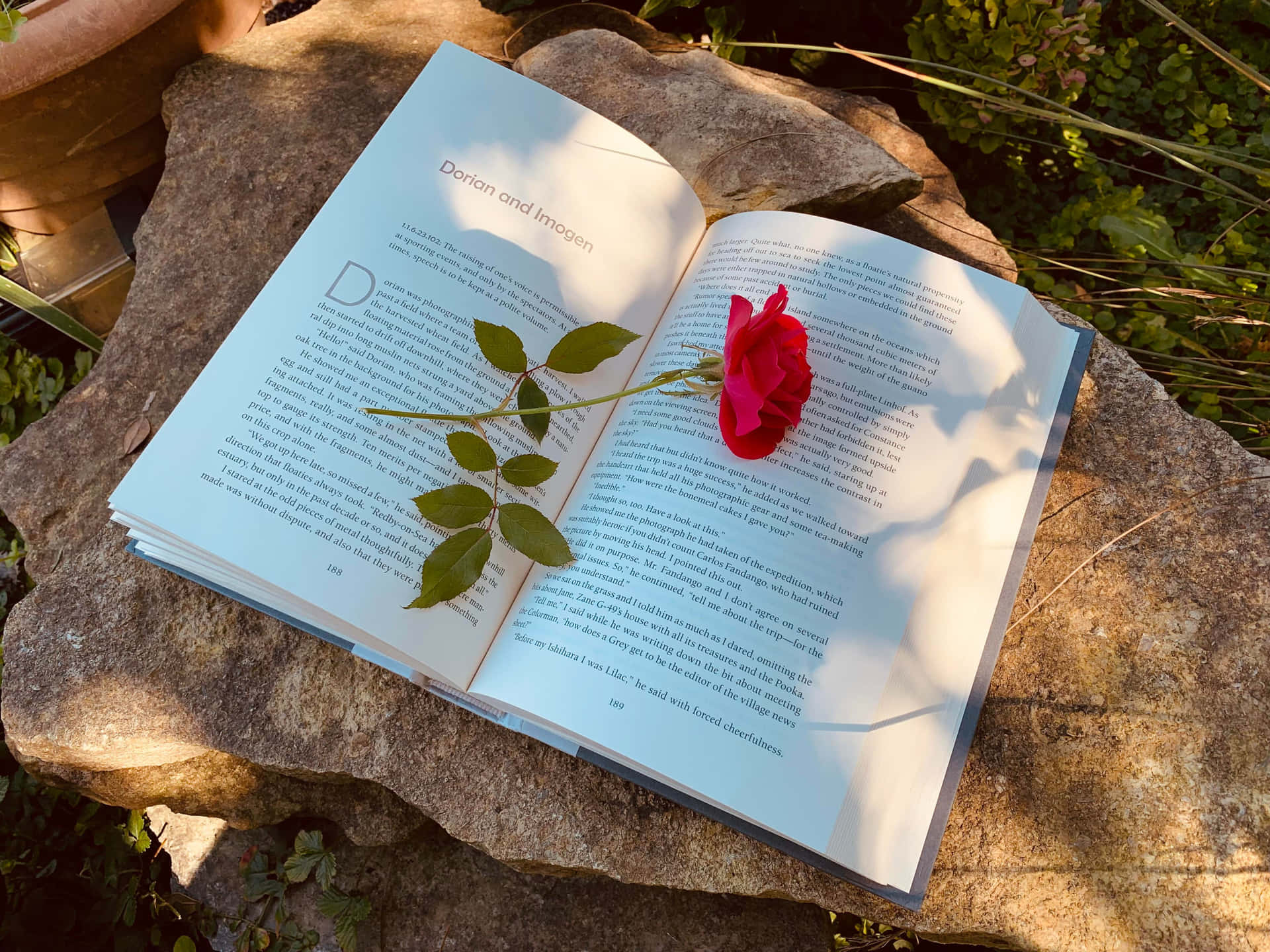 Book Aesthetic Wallpaper