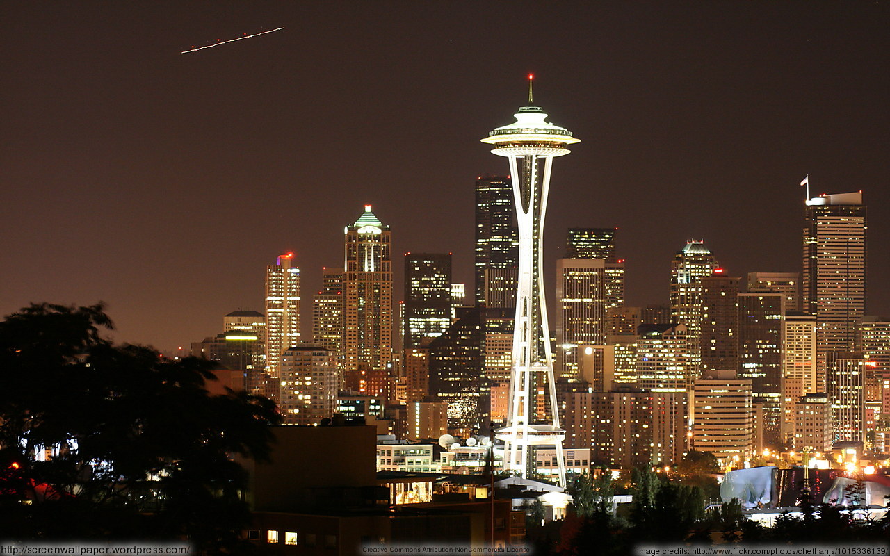 Seattle Space Needle Skyline Just Great Wallpaper