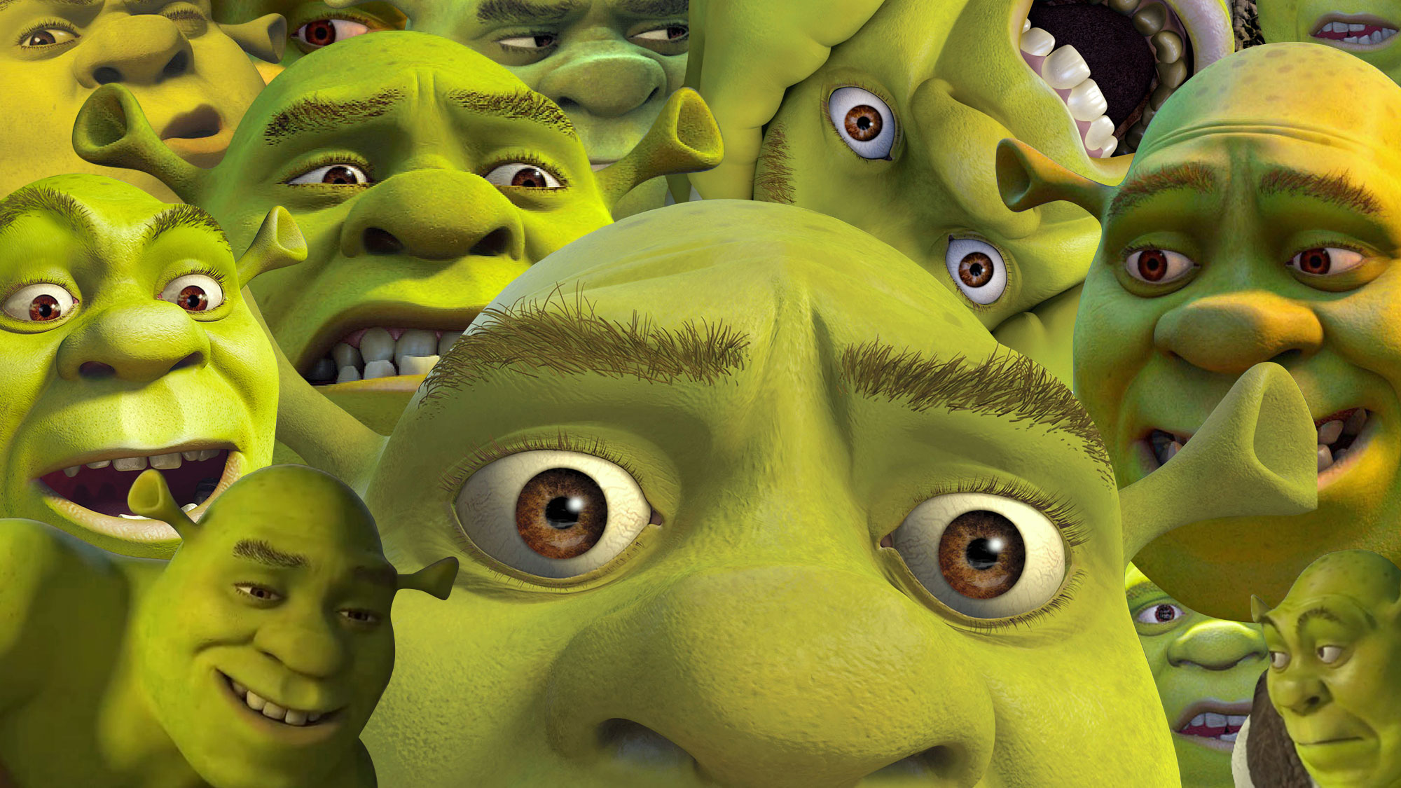 Shrek e fundos, memes shrek papel de parede HD