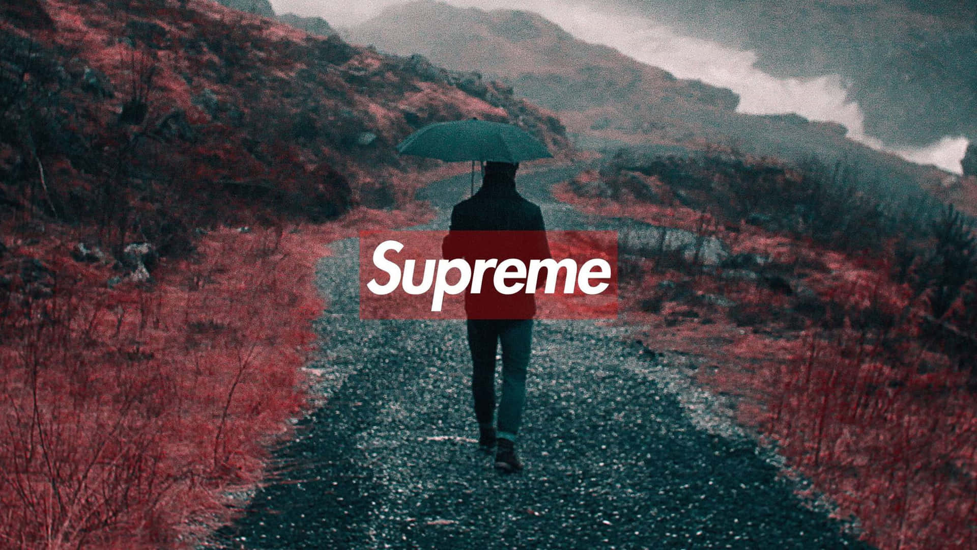 Supreme Logo Wallpaper