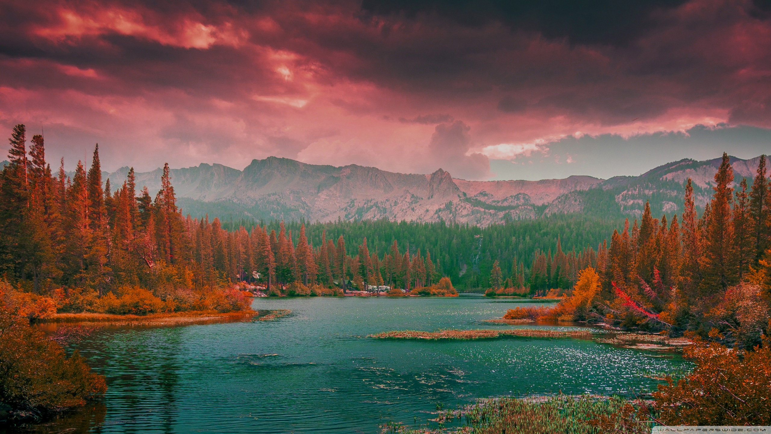 Aesthetic Beautiful Nature Wallpaper