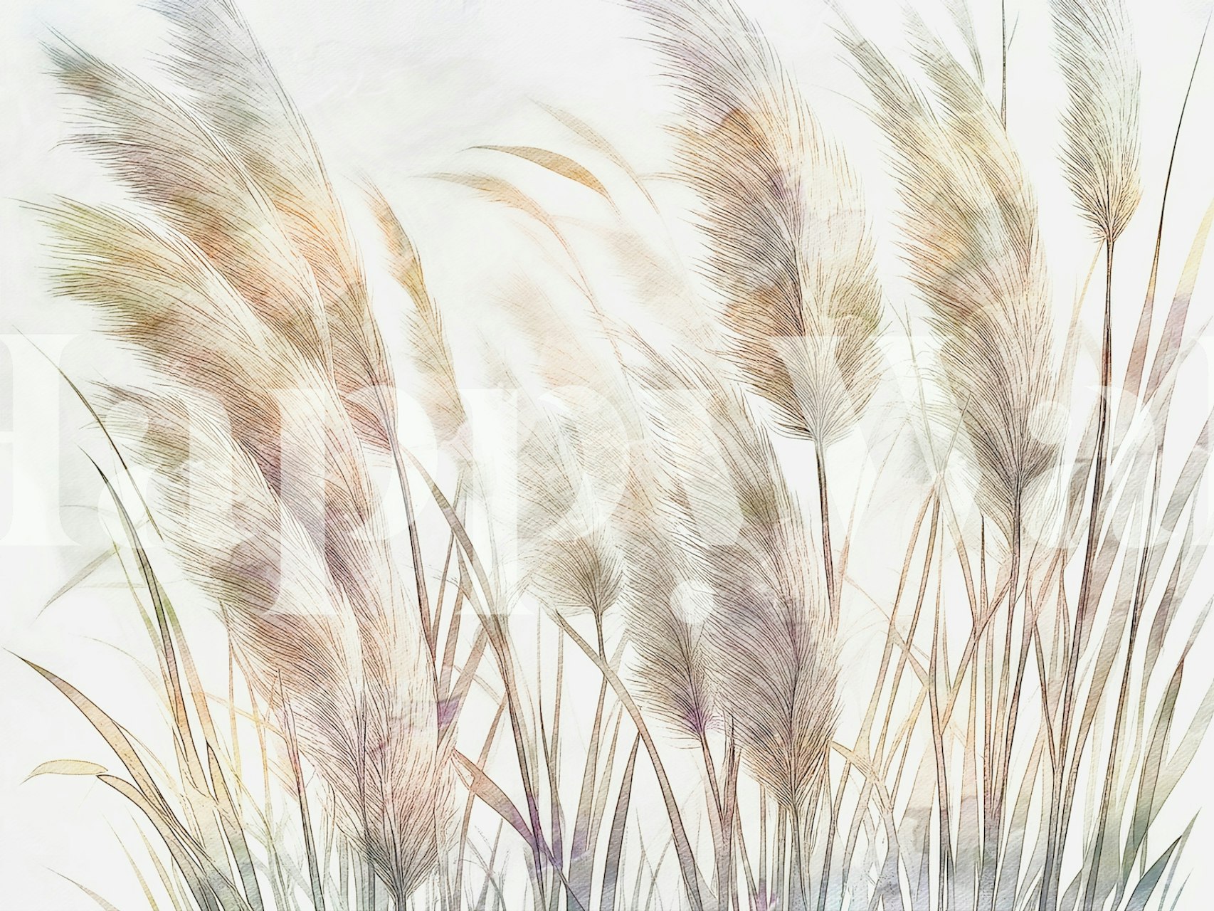 Dreamy Pampas Grass Wallpaper