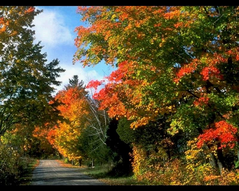 Autumn Scenic Wallpaper In HD