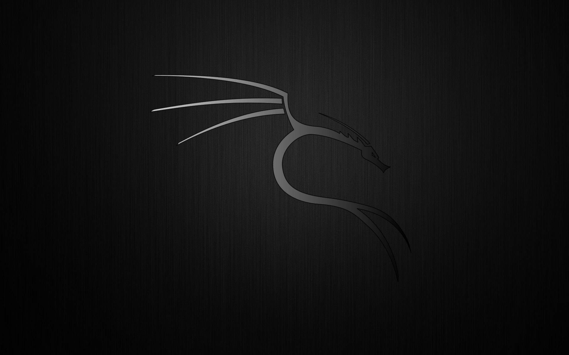 Kali Linux Wallpaper