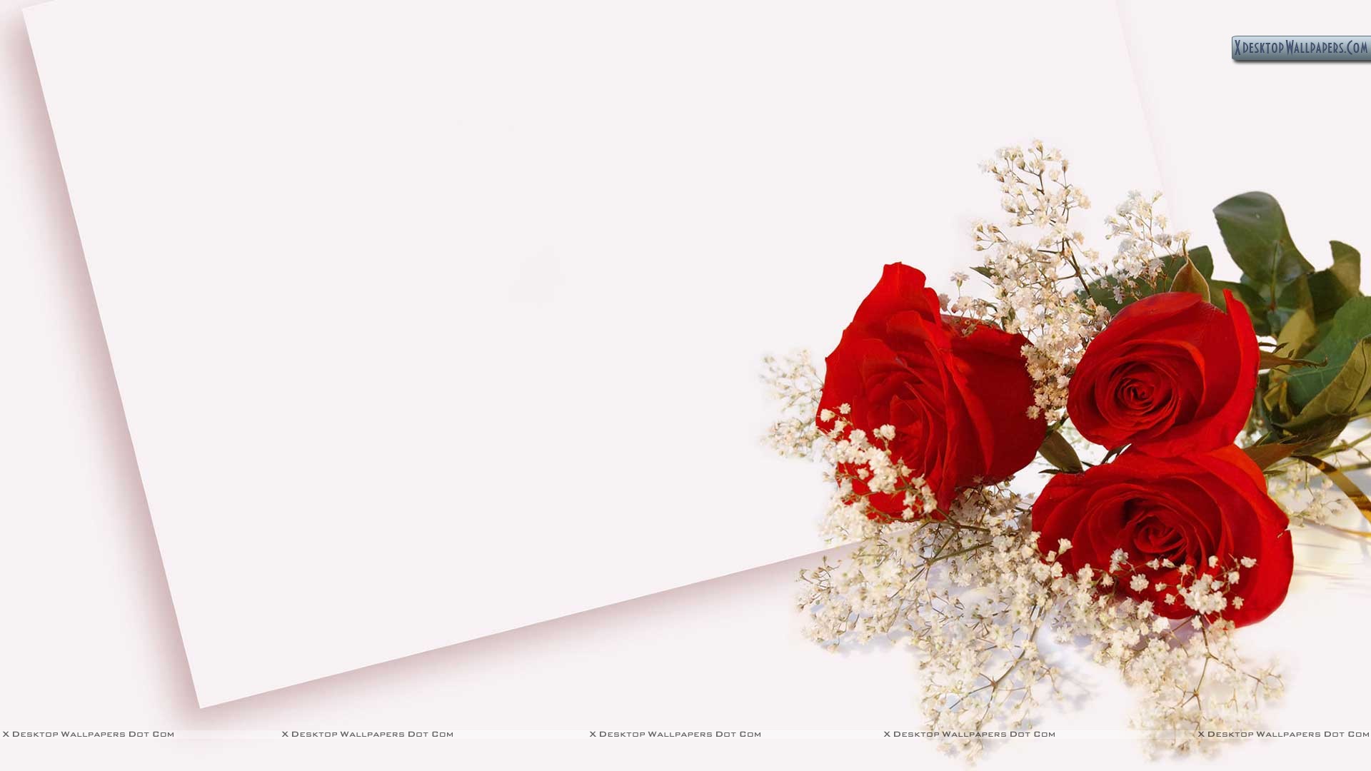 Hình nền phong bì cưới hoa là một lựa chọn tuyệt vời để gửi đến những người thân yêu của bạn trong ngày trọng đại. Những bông hoa tươi tắn và màu sắc tinh tế sẽ giúp bạn gửi gắm thông điệp của mình càng thêm ý nghĩa.