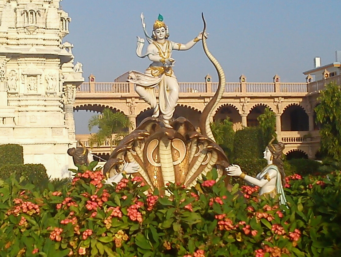 Lord Sri Krishna On Sheshnag