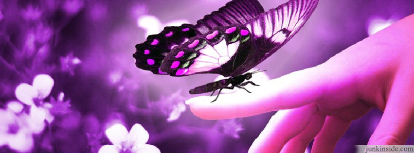 Lonely Butterfly Color Fb Covers Junkinside
