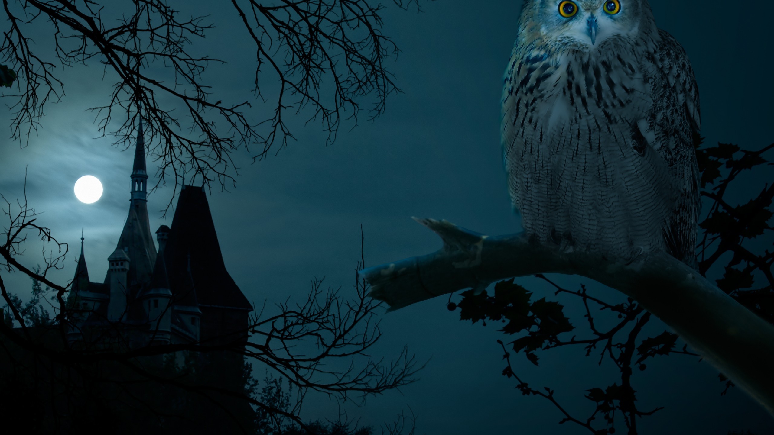 Halloween Night Owl Hounted Wallpaper HD 4k High Definition