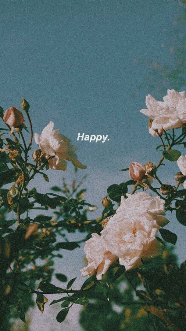 Aesthetic Discovered By Mari Kawai On We Heart It