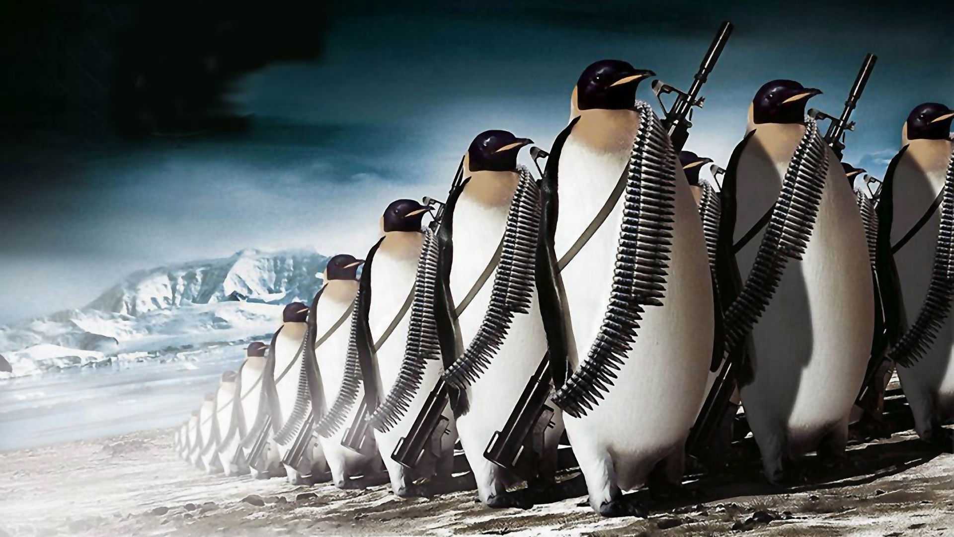 Penguins Wallpaper War Background Paper Image