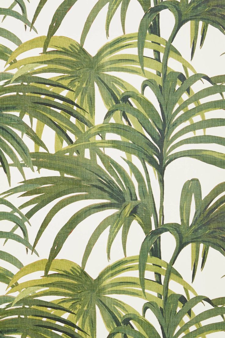 Pattern Green Wallpaper Palmeral House Cotton Linen