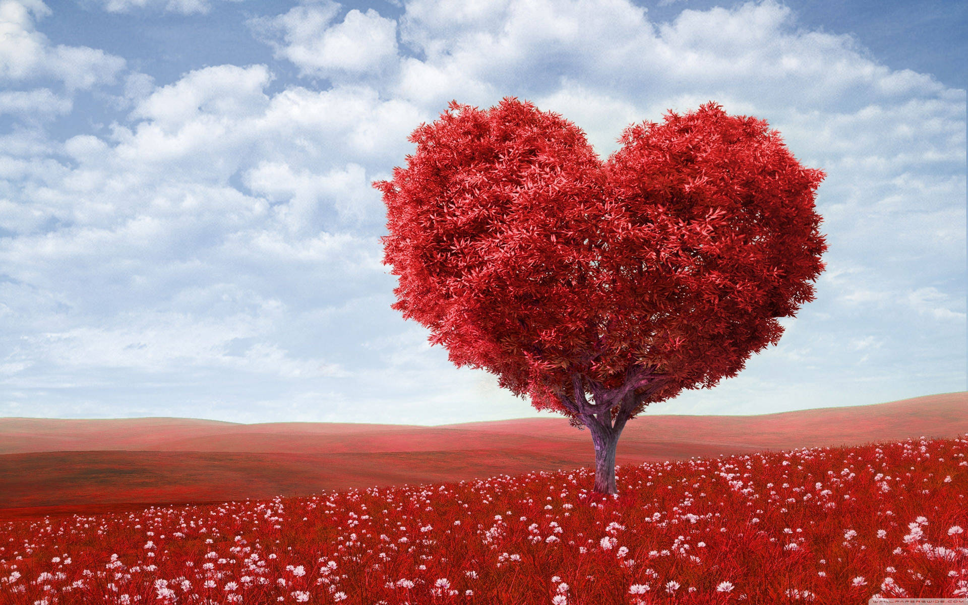 A heart-shaped tree with vibrant red leaves stands in a field of delicate white flowers, set against a backdrop of rolling hills and a soft blue sky with wispy clouds. A perfect representation of Valentine's Day love and romance