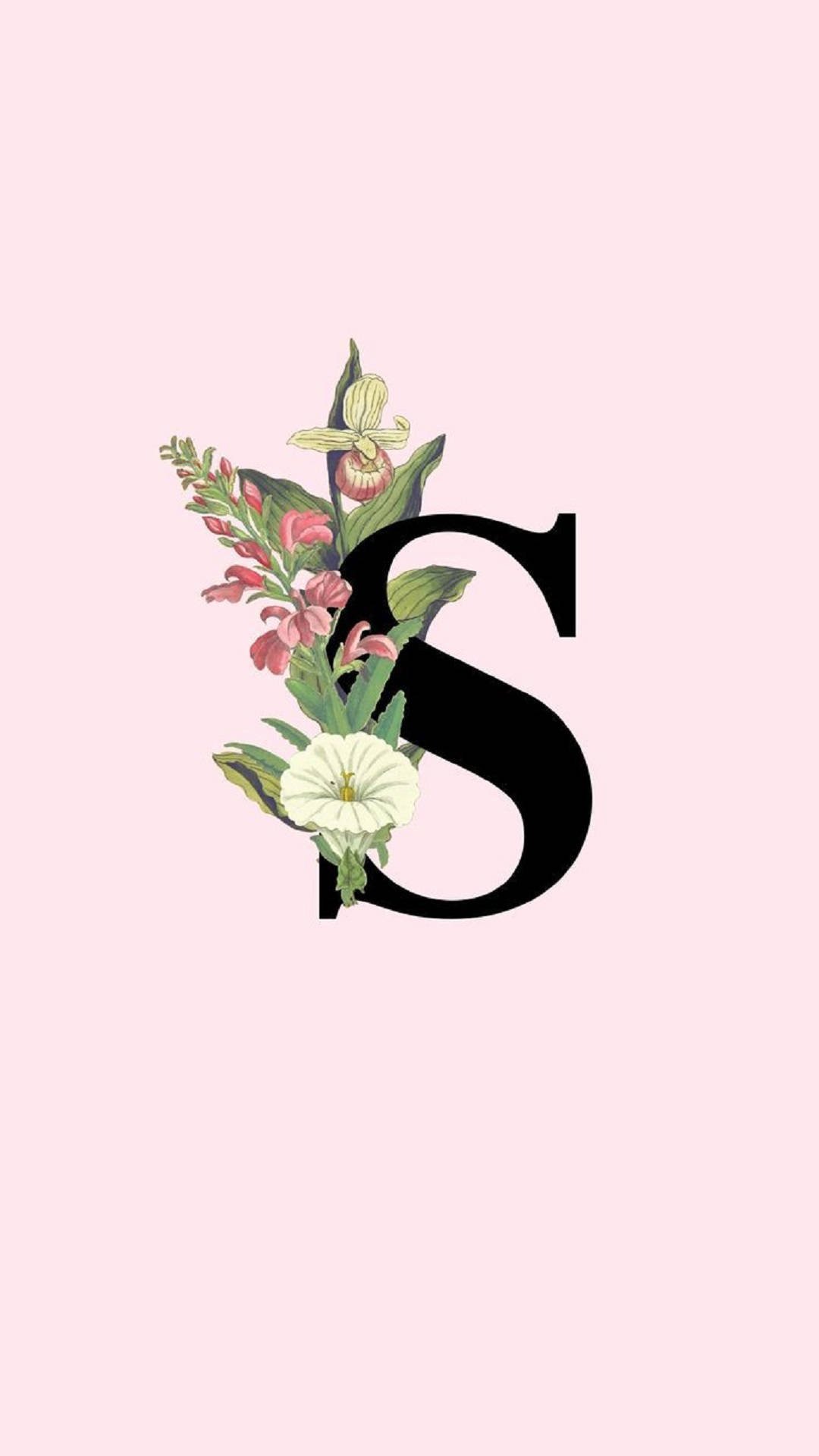 Letter S Picture Wallpaper
