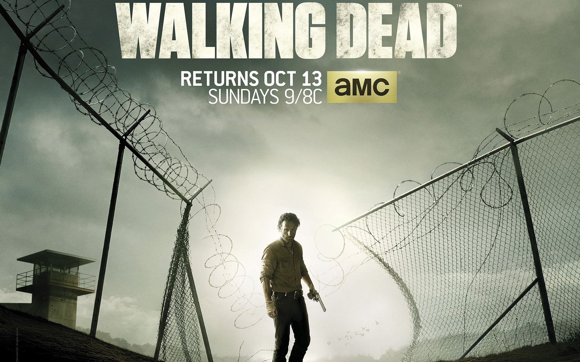 the walking dead 2013 zombie amc movie Shane Walsh poster film