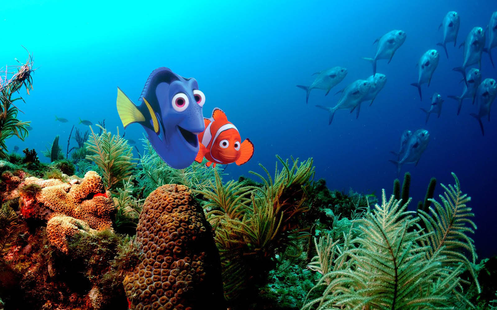 Wallpaper Finding Nemo