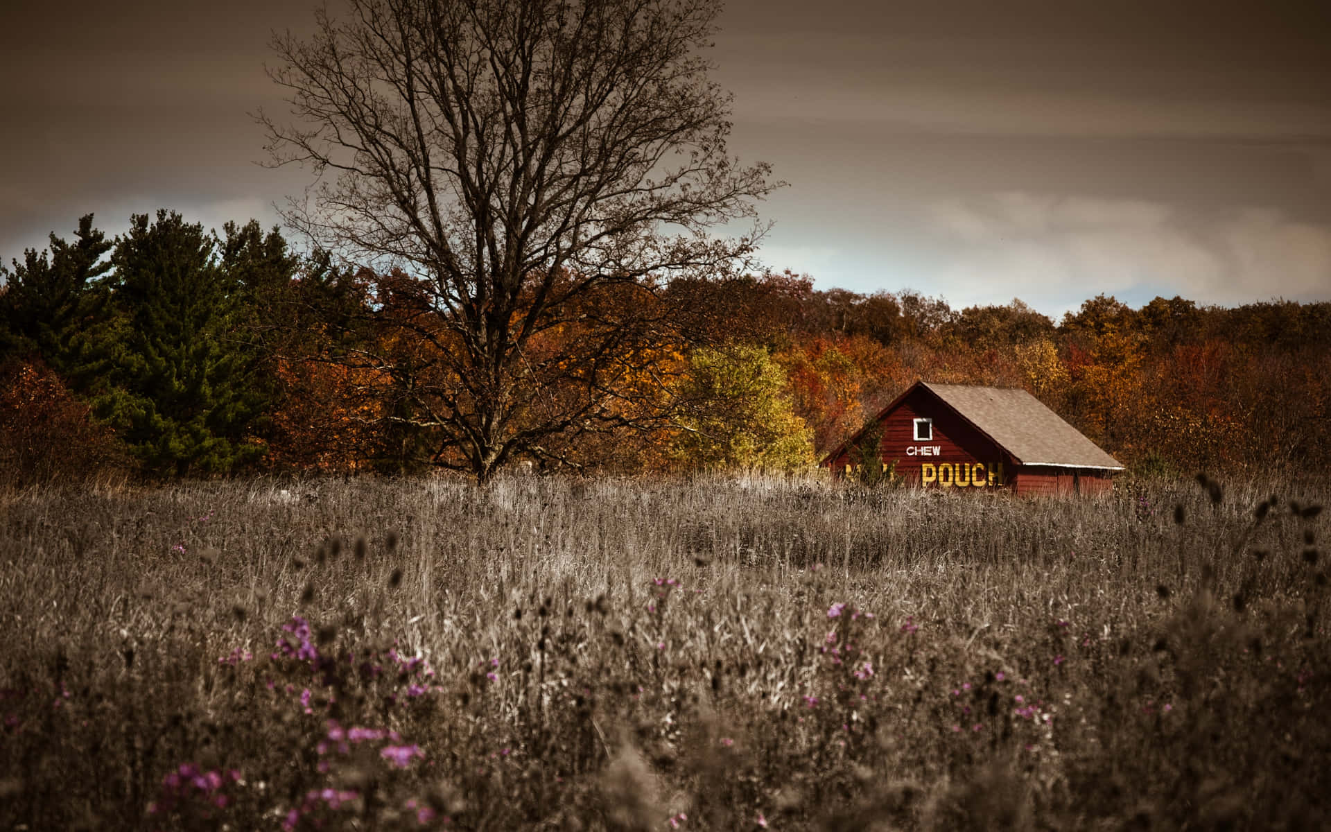 Rustic House Wallpaper