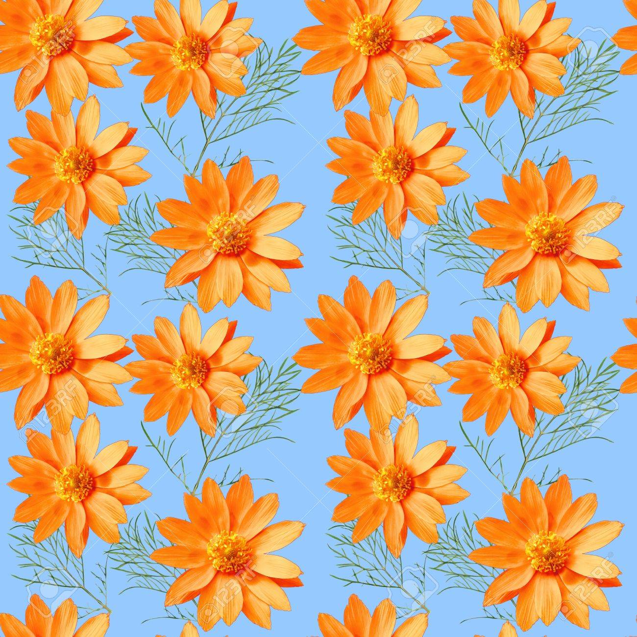 Adonis Texture Of Flowers Seamless Pattern For Continuous