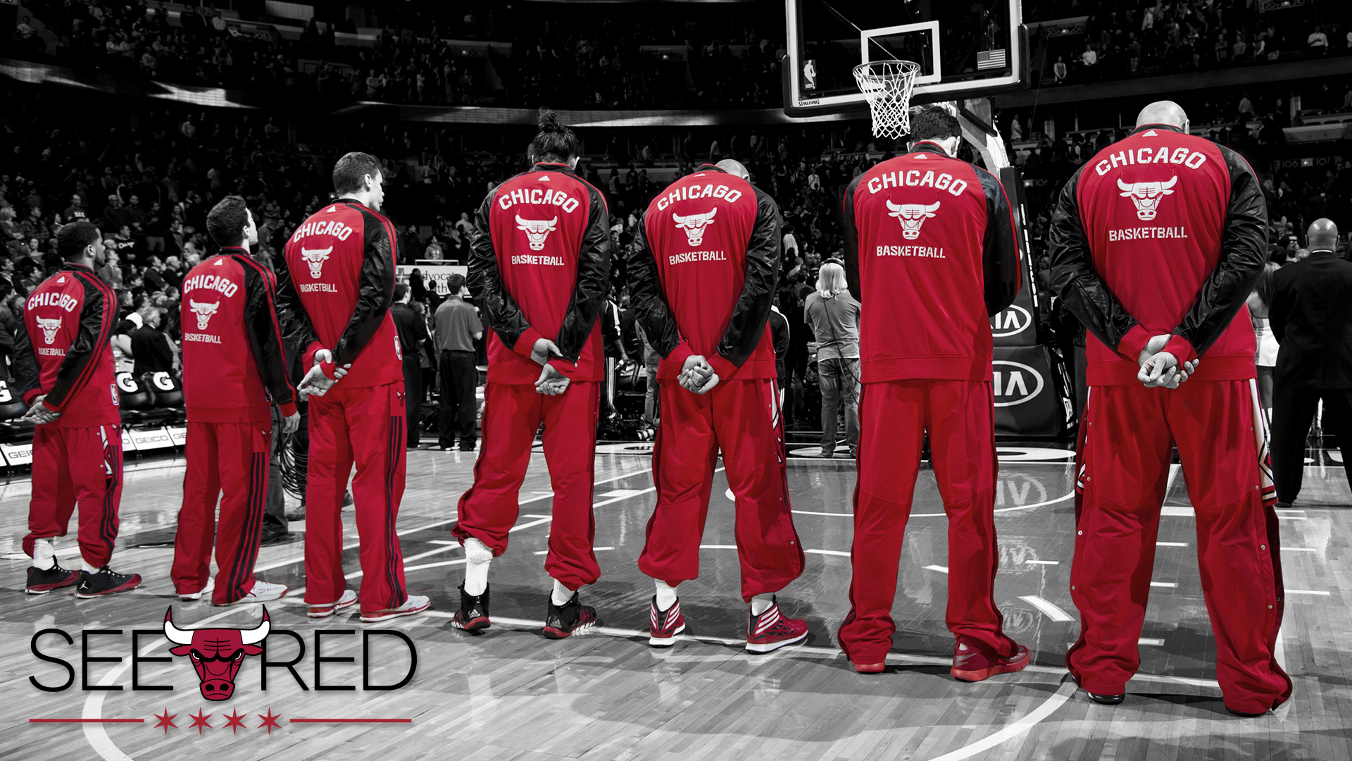 SEE RED Chicago Bulls Playoffs