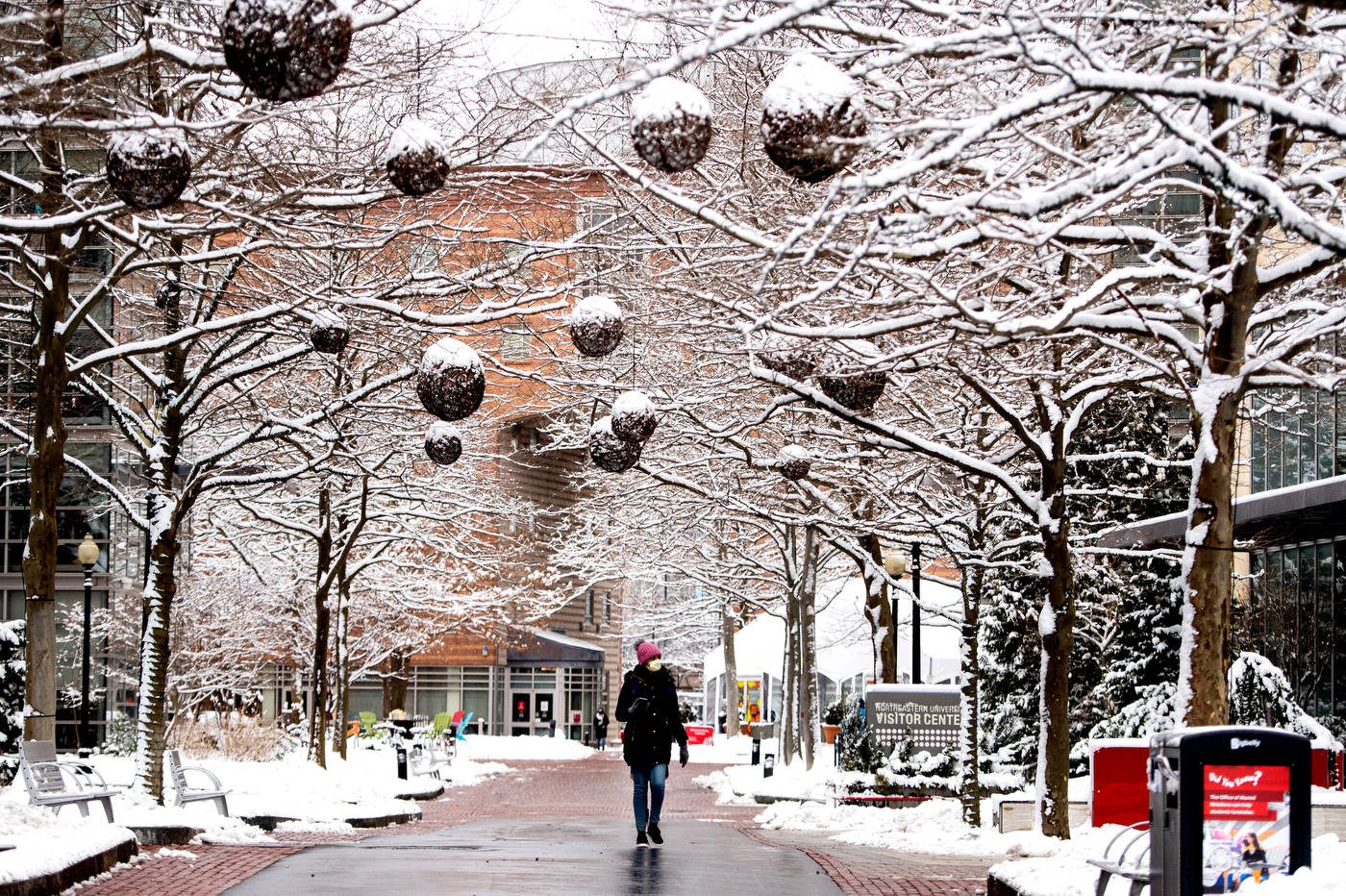 En Northeastern University X Wallpaper