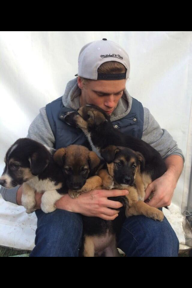Gus Kenworthy Rescues Stray Puppies Near Olympic Village
