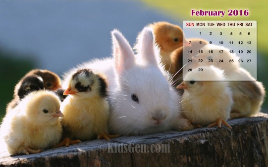 February Calendar Wallpaper Kidsgen
