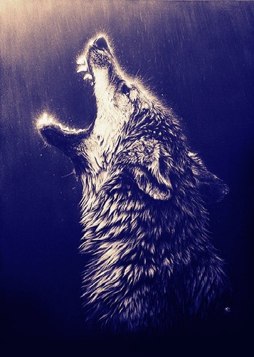 Wolf Hipster Wolves