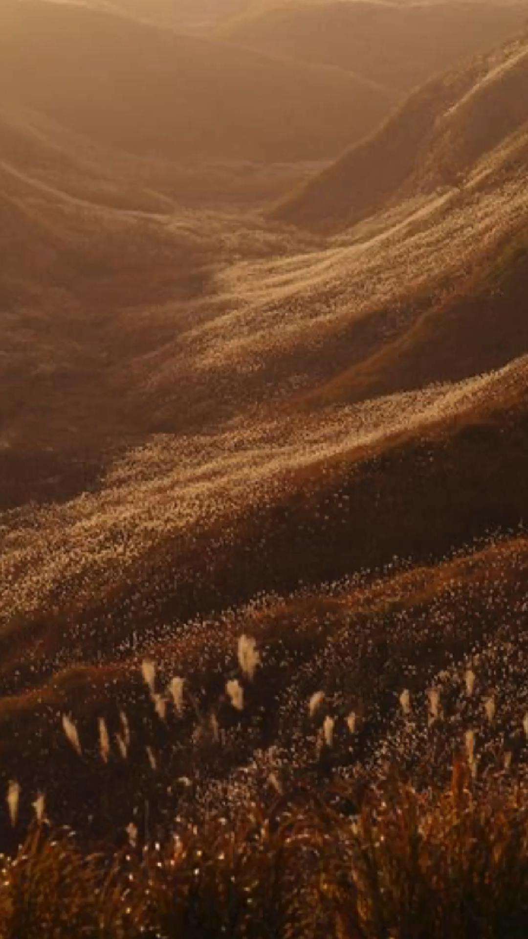 Brown Aesthetic Background