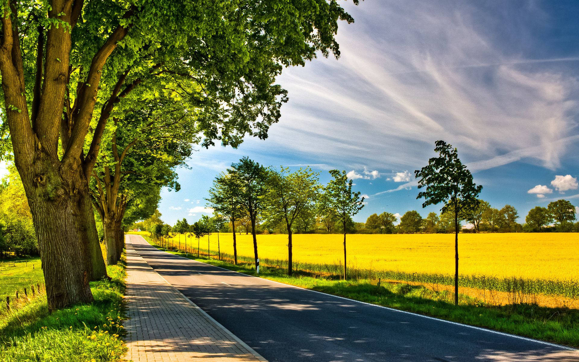 Country Road Wallpaper
