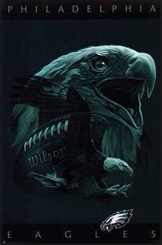 Image About Fly Eagles